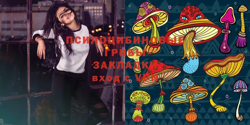 Псилоцибиновые грибы Magic Shrooms  Краснокаменск 